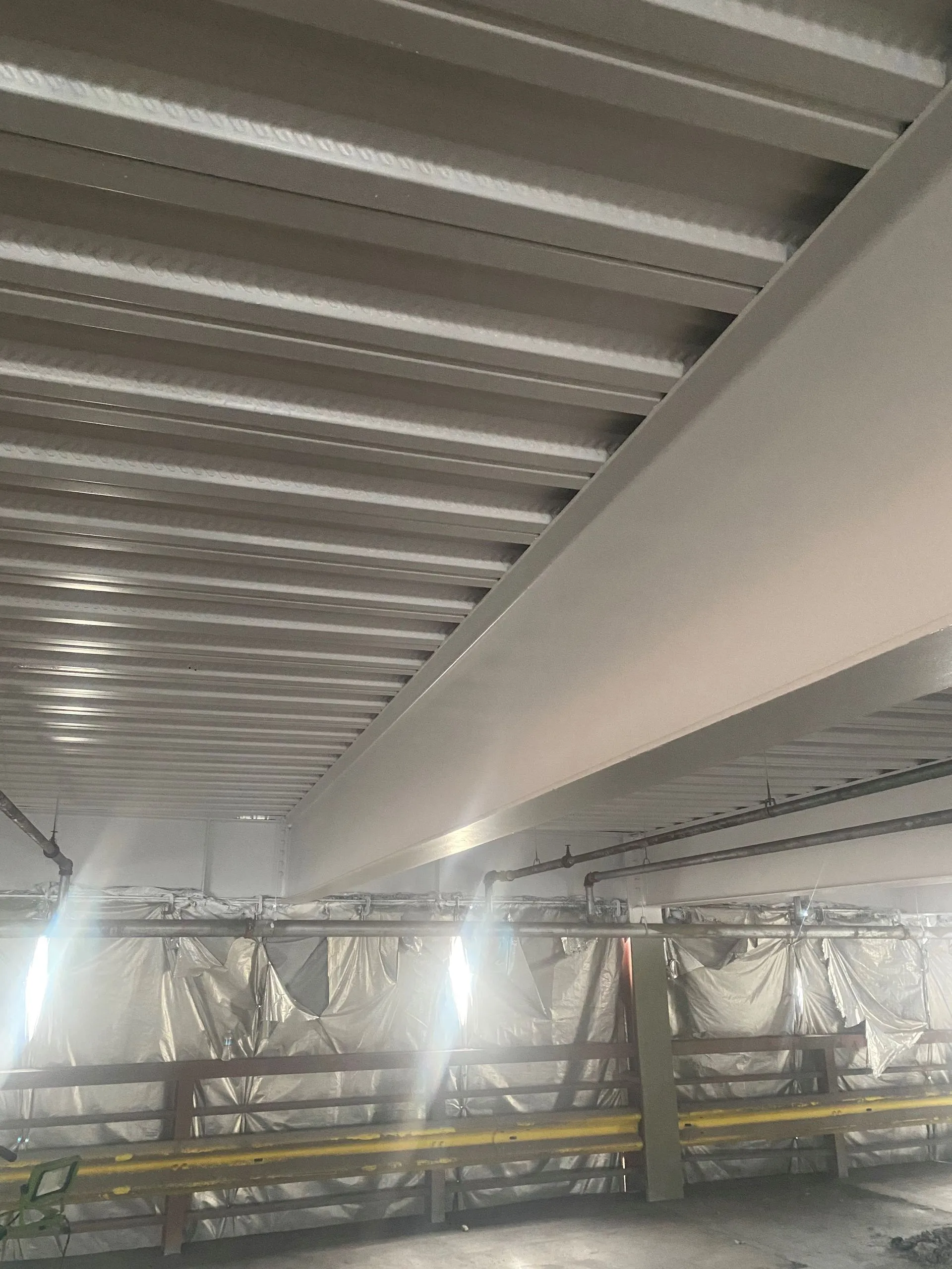 Servicii - Vopsea termospumantă ignifugă