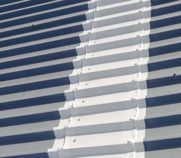 Servicii - Vopsea termospumantă ignifugă